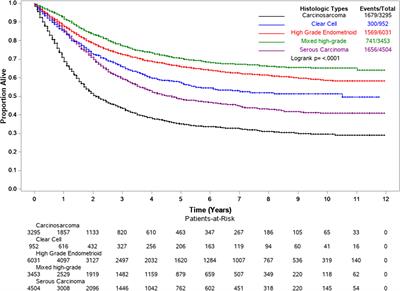 Endometrial Cancer Type 2 Incidence and Survival Disparities Within Subsets of the US Black Population